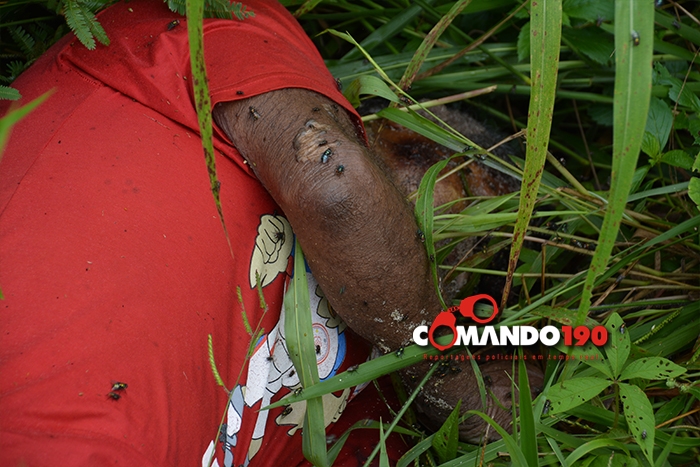 urupa190.com.br - Caiu na mão da polÃcia virou notÃcia