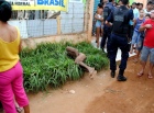 PORTO VELHO - Homem acusado de estuprar 5 meninas na zona Leste � surrado por populares